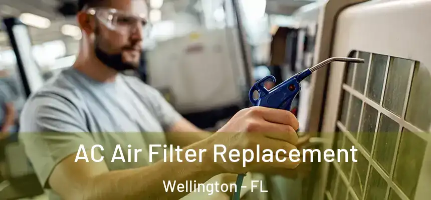 AC Air Filter Replacement Wellington - FL