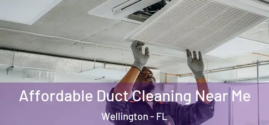 Affordable Duct Cleaning Near Me Wellington - FL