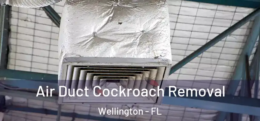 Air Duct Cockroach Removal Wellington - FL