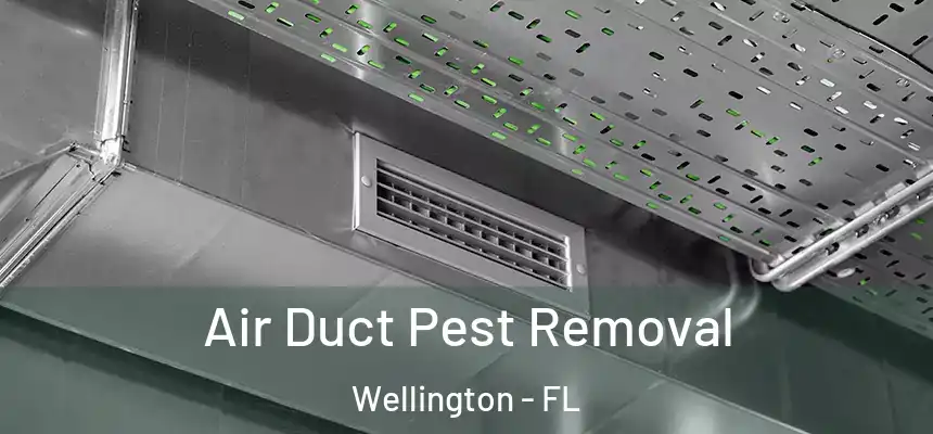 Air Duct Pest Removal Wellington - FL