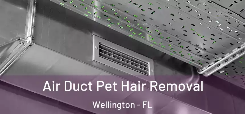Air Duct Pet Hair Removal Wellington - FL