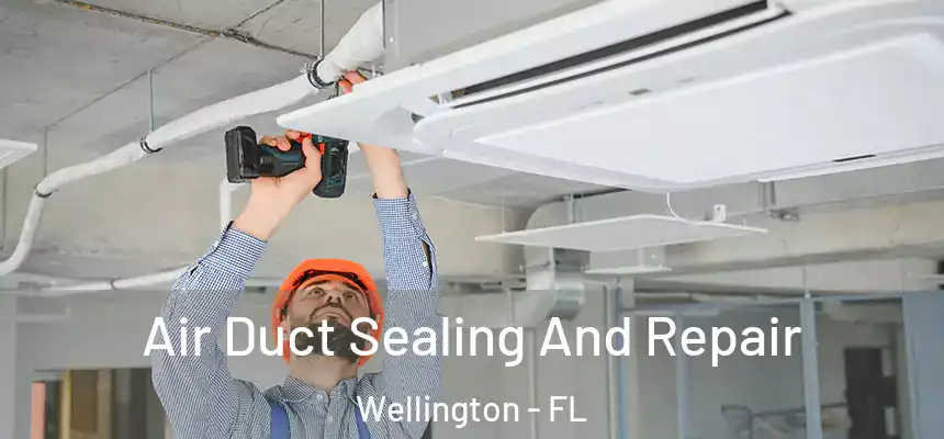 Air Duct Sealing And Repair Wellington - FL