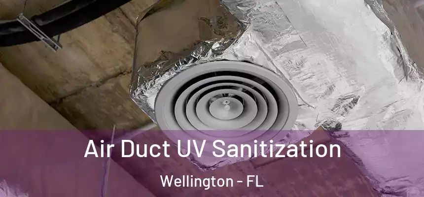 Air Duct UV Sanitization Wellington - FL