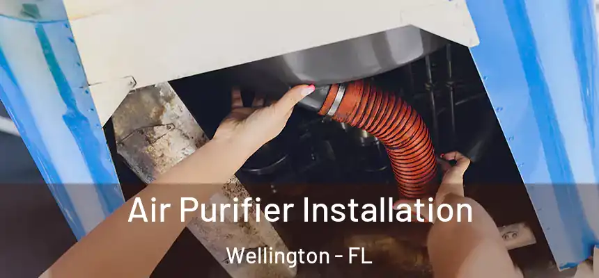 Air Purifier Installation Wellington - FL