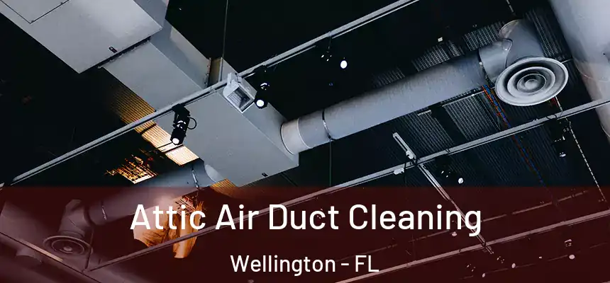Attic Air Duct Cleaning Wellington - FL