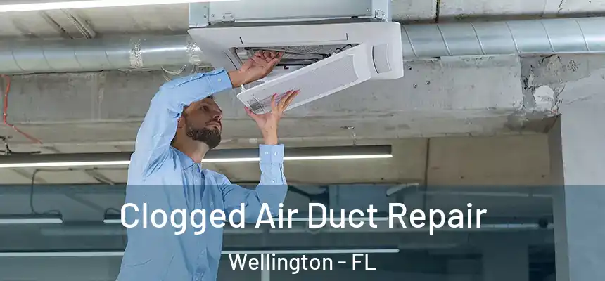 Clogged Air Duct Repair Wellington - FL