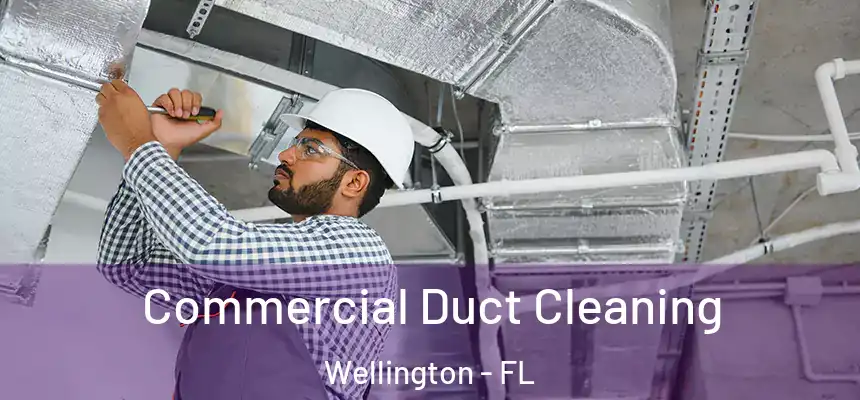 Commercial Duct Cleaning Wellington - FL