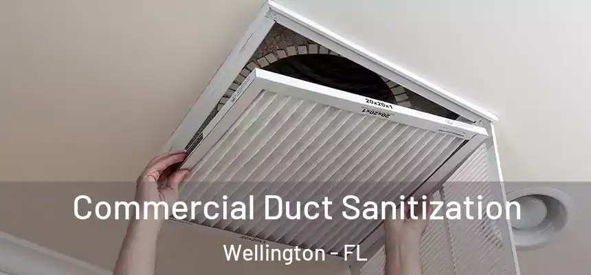 Commercial Duct Sanitization Wellington - FL