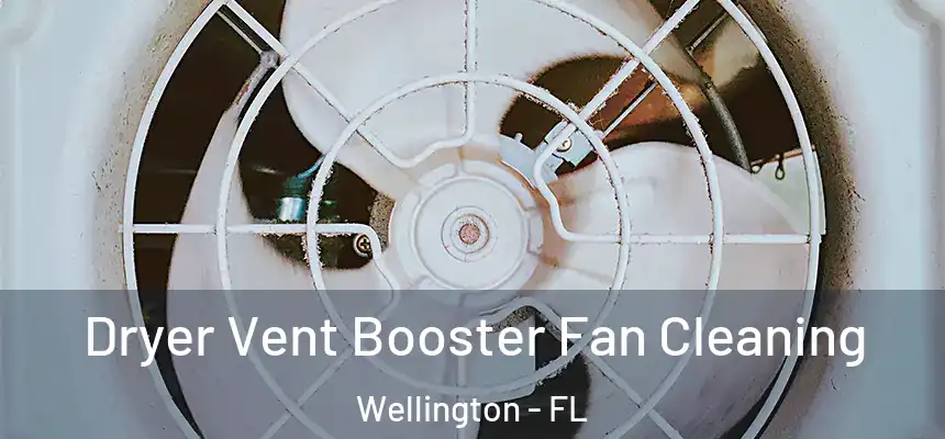 Dryer Vent Booster Fan Cleaning Wellington - FL