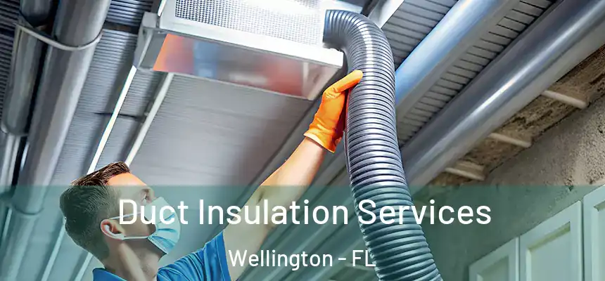 Duct Insulation Services Wellington - FL