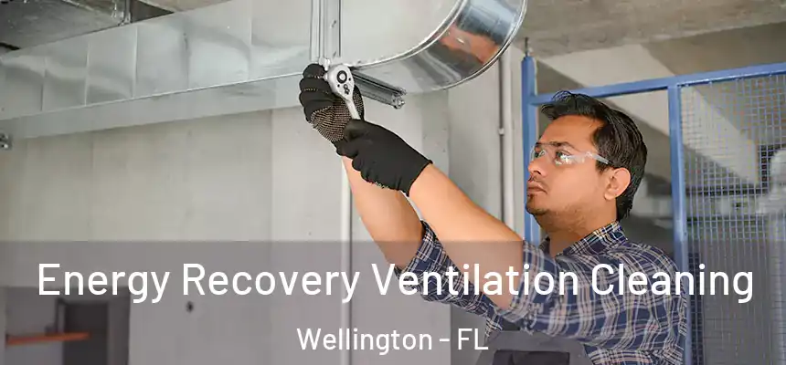 Energy Recovery Ventilation Cleaning Wellington - FL