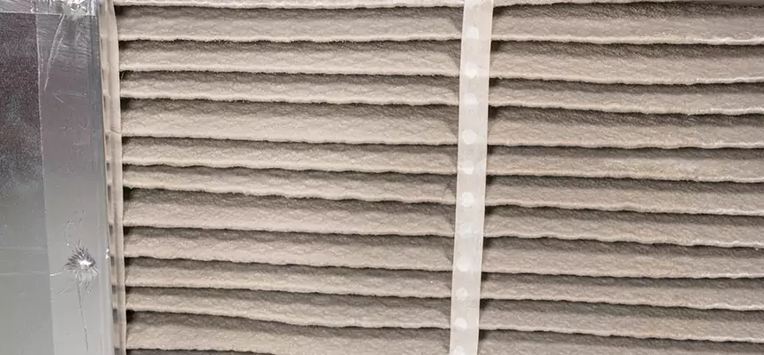 Mobile Car AC Filter Replacement in Wellington