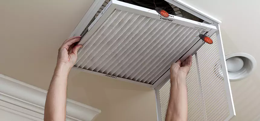 Preventive Cockroach-Proofing for Ducts in Wellington