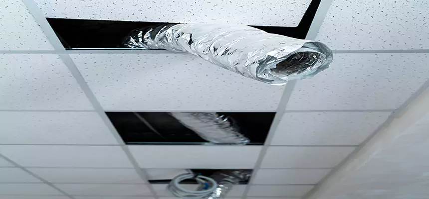 Affordable HVAC Sanitizing After Pest Removal in Wellington