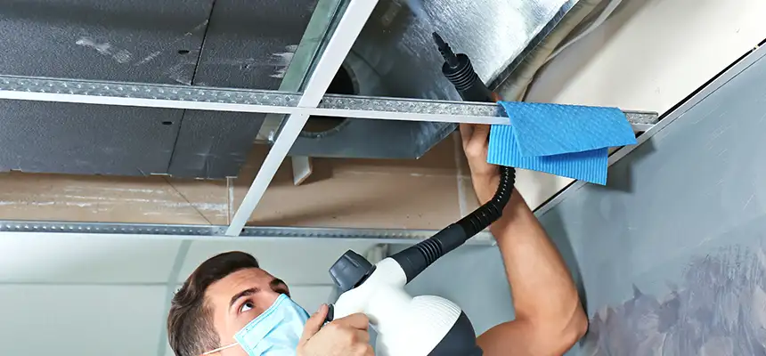 Our Air Duct Rodent Removal Services in Wellington, FL