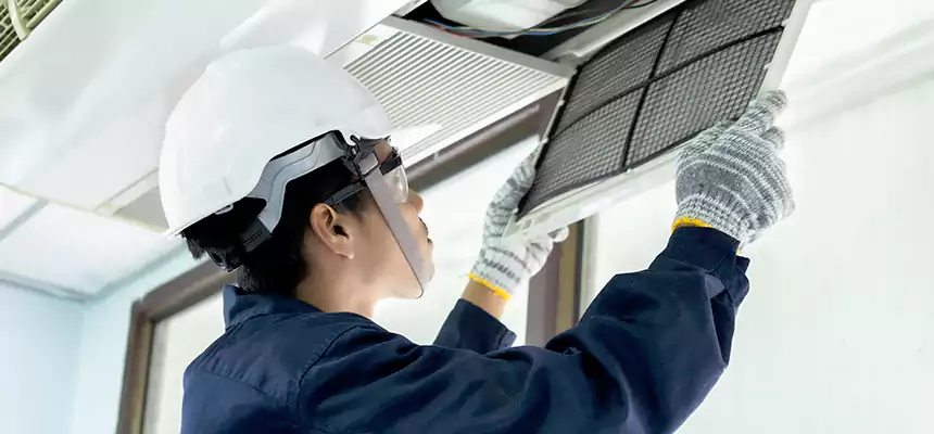 Our Mold & Mildew Removal from Air Ducts Services in Wellington, FL