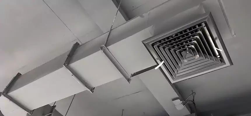 Our Pest Removal From Ducts Services in Wellington, FL