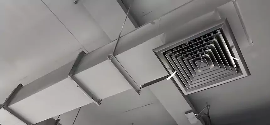 Our Rodent Droppings In Vents Services in Wellington, FL