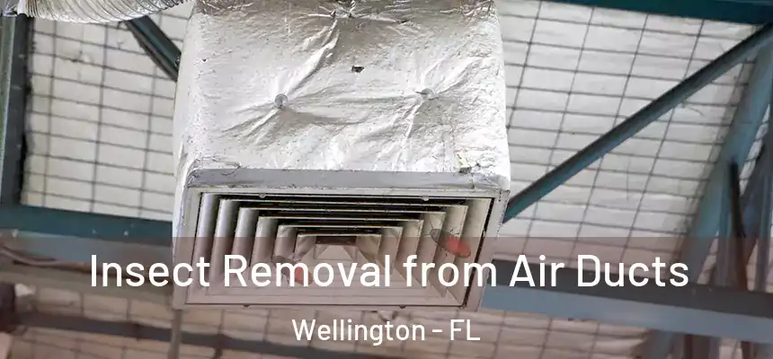 Insect Removal from Air Ducts Wellington - FL
