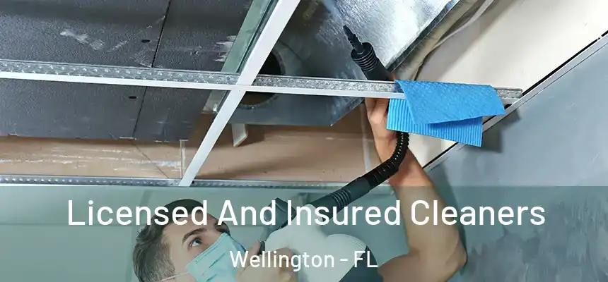 Licensed And Insured Cleaners Wellington - FL