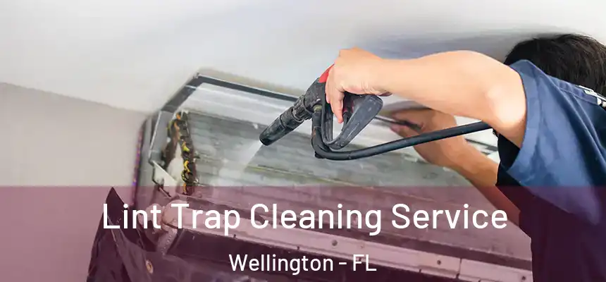 Lint Trap Cleaning Service Wellington - FL
