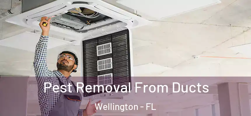 Pest Removal From Ducts Wellington - FL