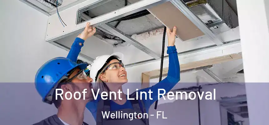 Roof Vent Lint Removal Wellington - FL