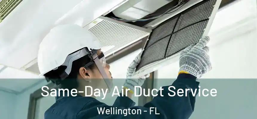 Same-Day Air Duct Service Wellington - FL