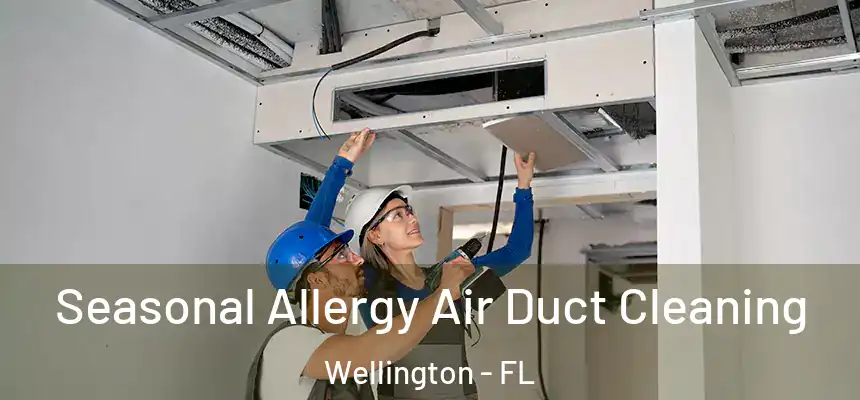 Seasonal Allergy Air Duct Cleaning Wellington - FL