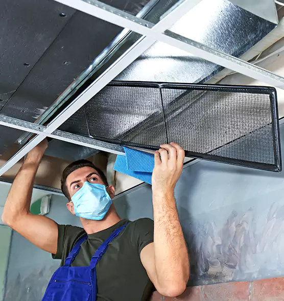 About Air Duct Bacteria Removal in Wellington