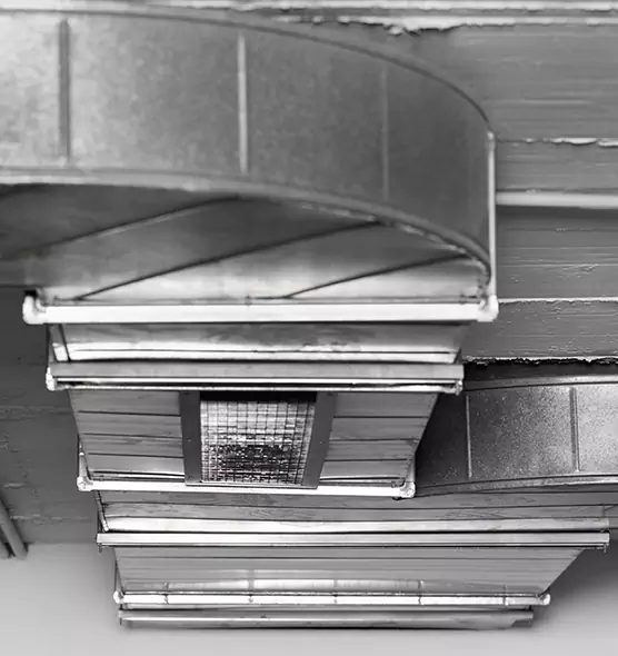 Professional Air Duct Pest Removal in Wellington, FL