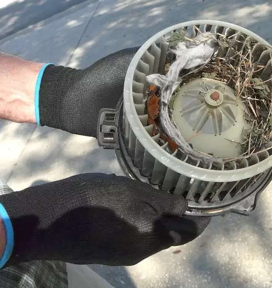 About Air Duct Rat Removal in Wellington, FL