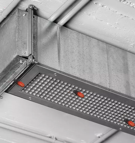 Affordable Insect Removal from Air Ducts in Wellington, FL