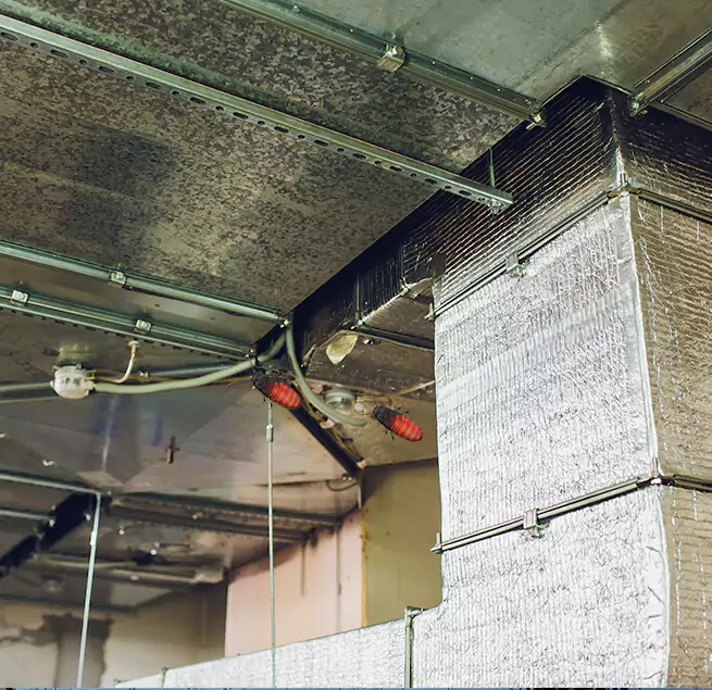 Why Homeowners & Businesses Trust Us Wellington, FL?