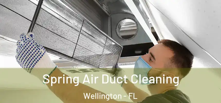 Spring Air Duct Cleaning Wellington - FL