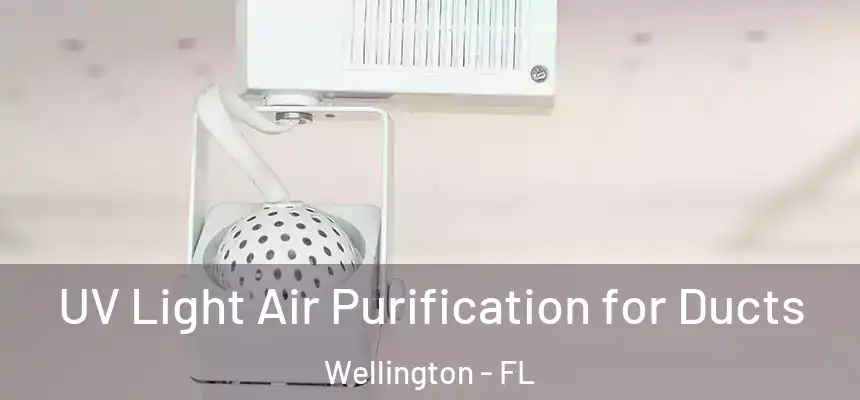 UV Light Air Purification for Ducts Wellington - FL