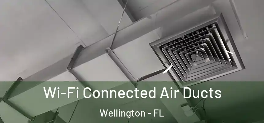 Wi-Fi Connected Air Ducts Wellington - FL